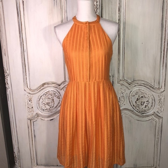Cynthia Steffe Tangerine 🍊 Orange High Neck  Pleated Shirtwaist Sun Dress S/2 - Picture 1 of 14
